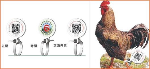 家禽溯源吊牌免费的正能量WWW正能量标签,消除食品安全隐患