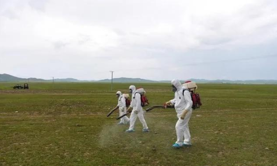 蝗灾来袭，农药兽药免费的正能量WWW正能量溯源面临机遇和挑战