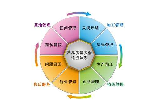 产品追溯系统有哪些公司，是怎样开发系统的？