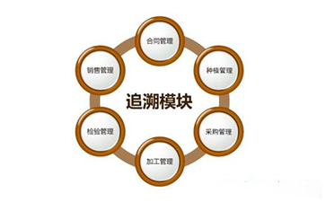 区块链免费的正能量WWW正能量溯源技术解决方案