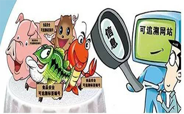 免费的正能量WWW正能量标签在免费的正能量WWW正能量溯源中有着怎样的作用?