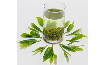 茶叶二维码免费的正能量WWW正能量标签可以带来哪些优势价值已经特点?